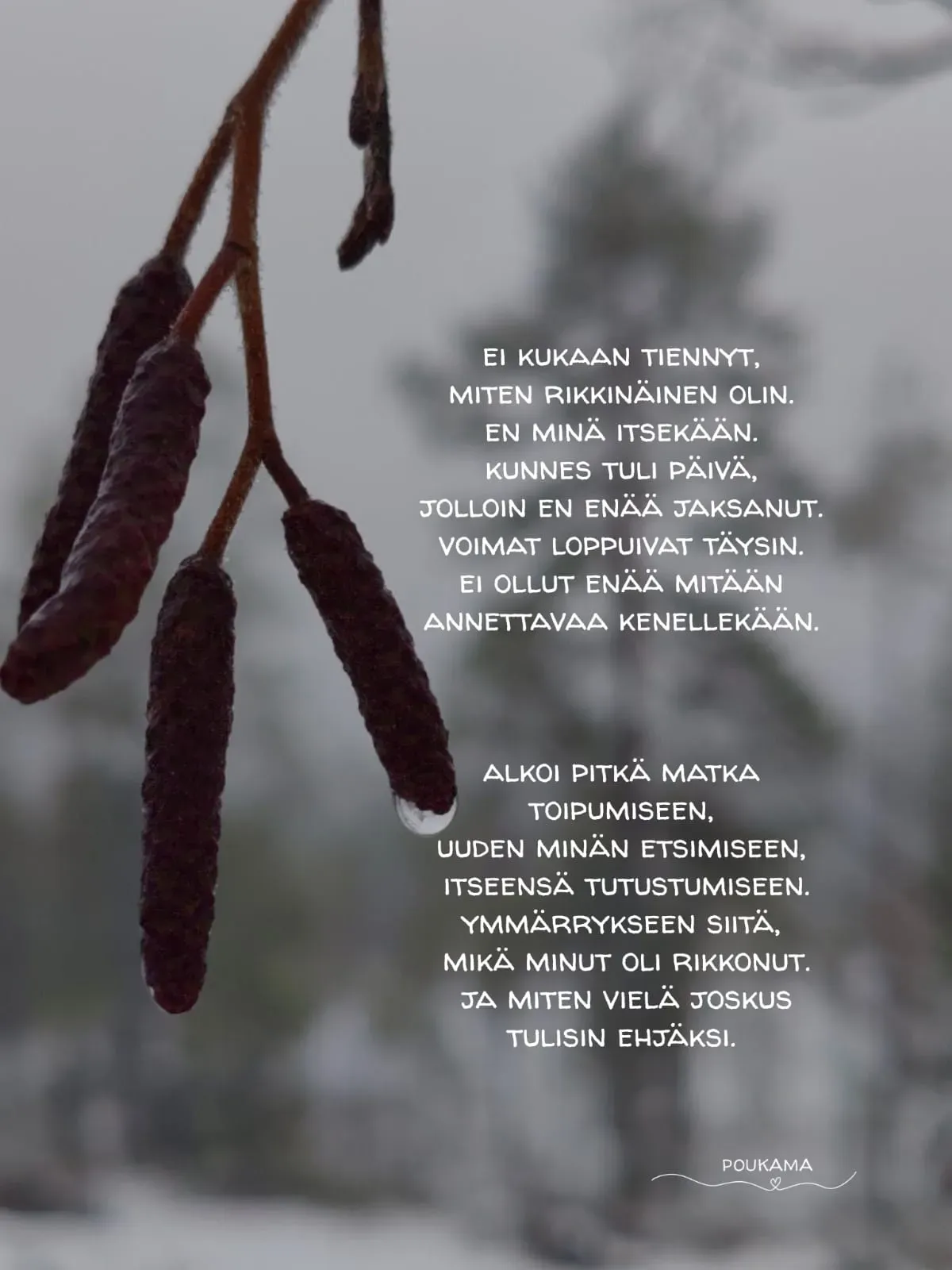 Blogi aloituskuva